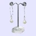 FWP Earrings