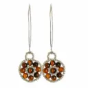 Tiger's eyes Earrings